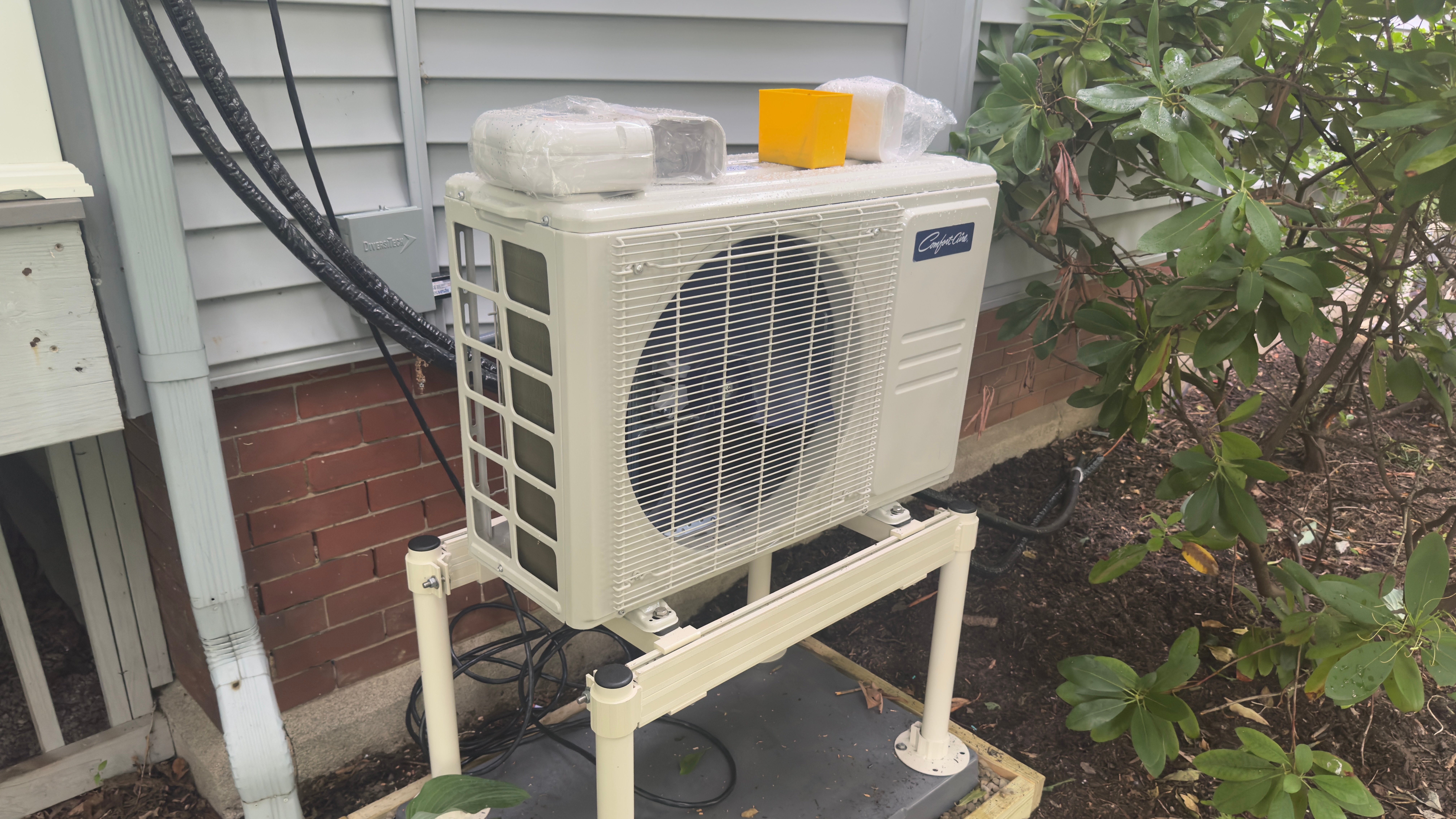 A heat pump outside a home connected to lines and next to a large leafy plant.
